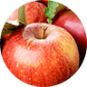 APPLE APPLE